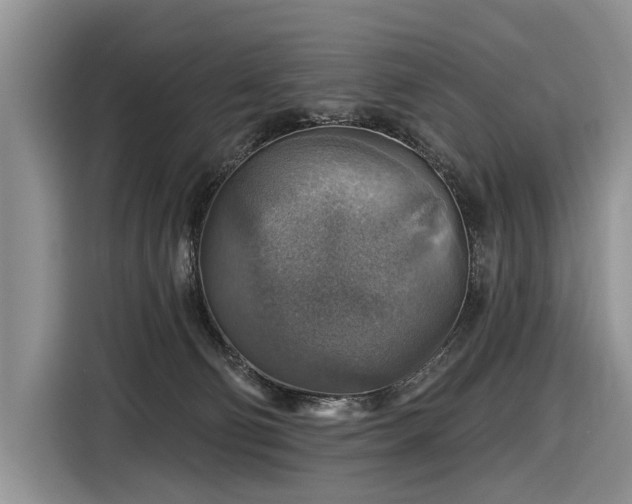 X0000116630130200912181332