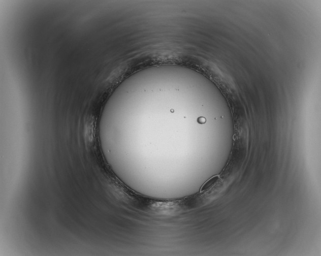 X0000116630133200912181332