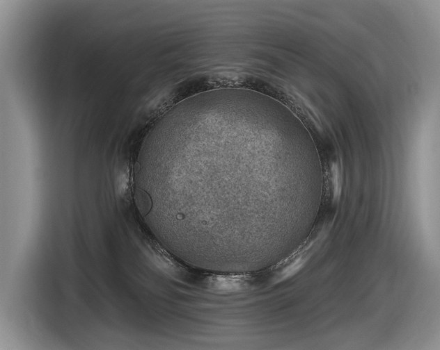 X0000116630134200912181332