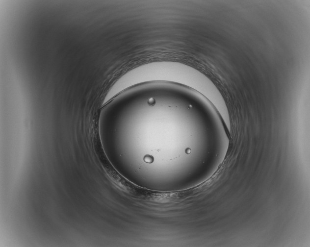 X0000116630136200912181332