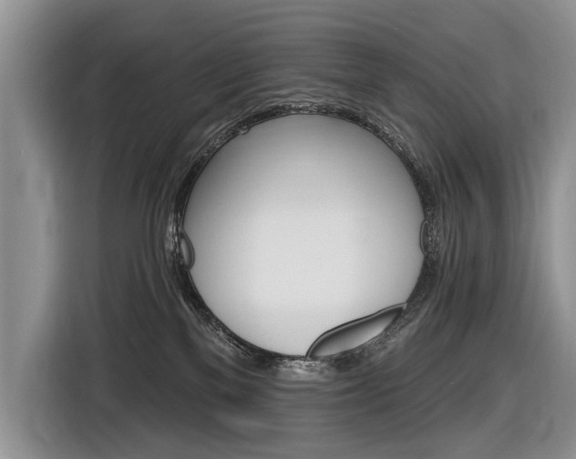 X0000116630137200912181332