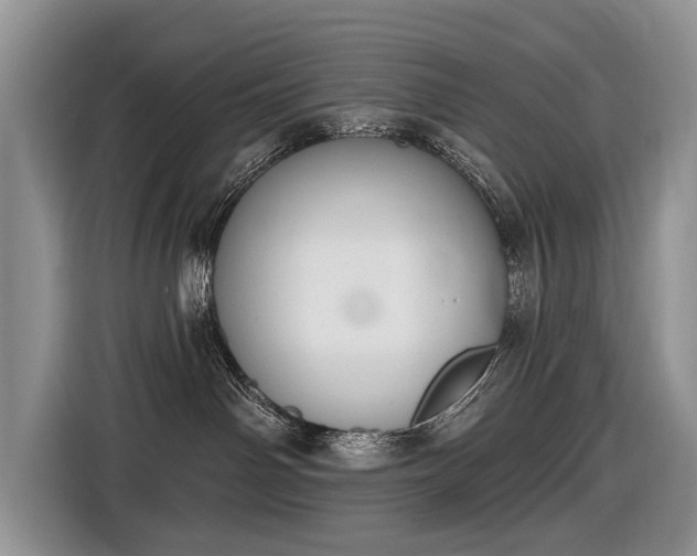 X0000116630142200912181332