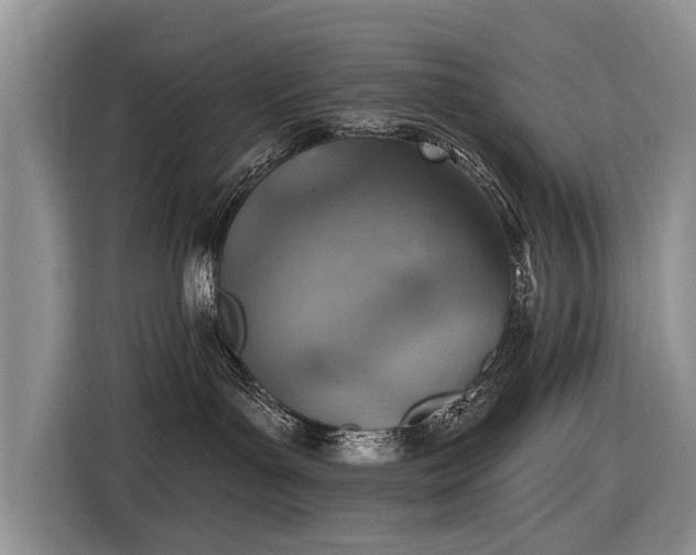 X0000116630143200912181332