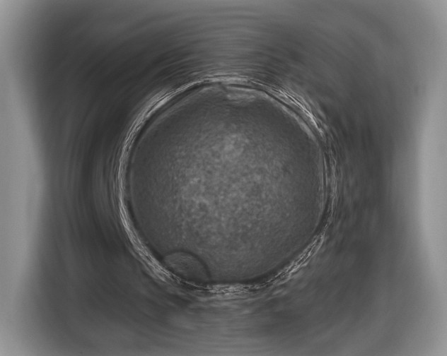 X0000116630145200912181332