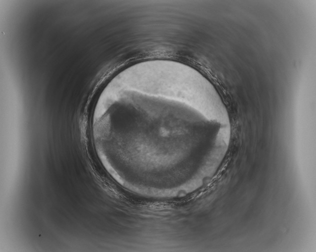 X0000116630146200912181332