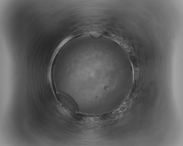 X0000116630147200912181332