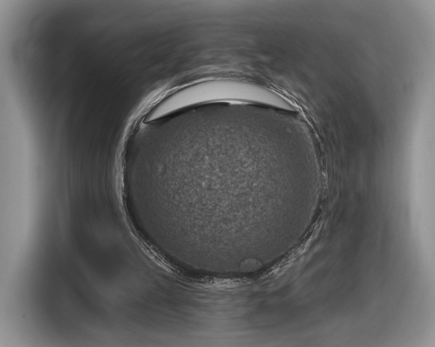 X0000116630149200912181332