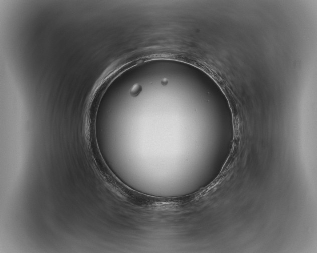 X0000116630150200912181332