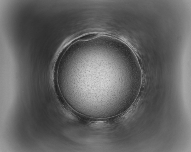 X0000116630151200912181332