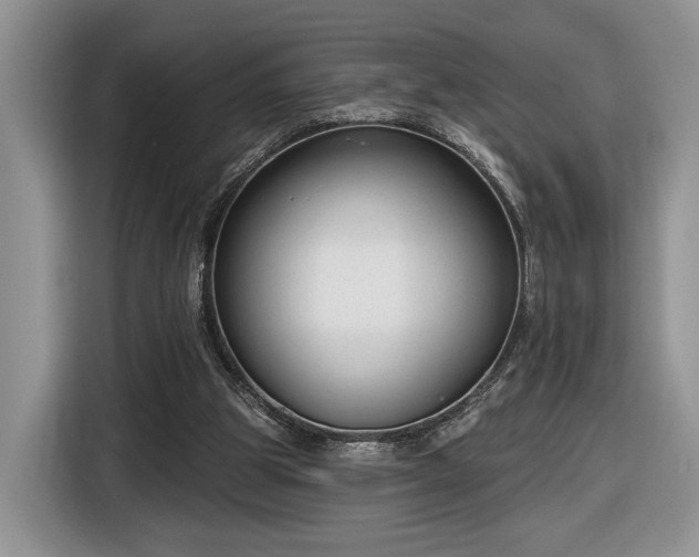 X0000116630153200912181332