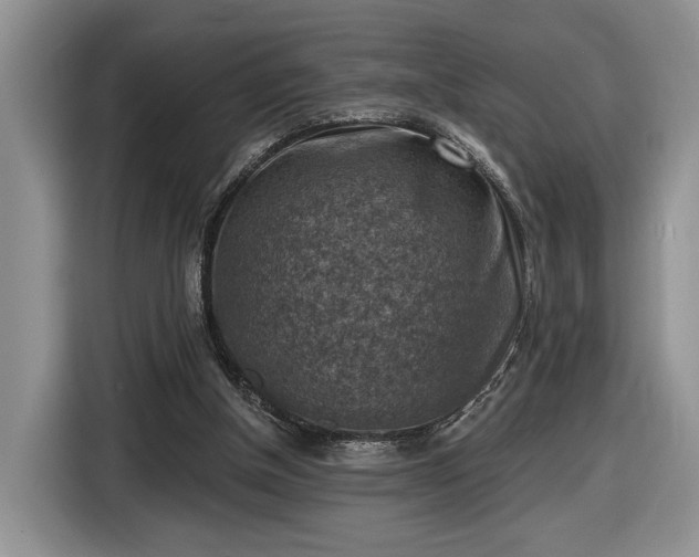 X0000116630154200912181332