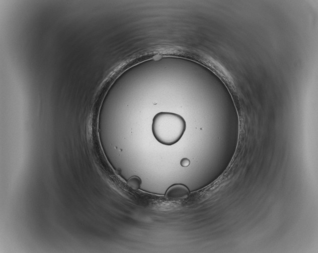 X0000116630155200912181332