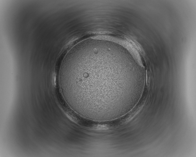 X0000116630157200912181332