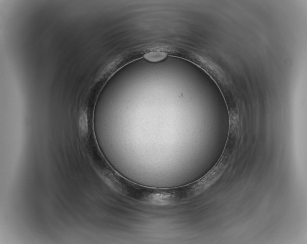 X0000116630158200912181332