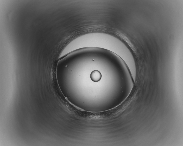 X0000116630161200912181332