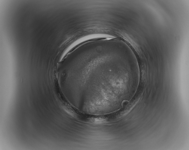 X0000116630165200912181332