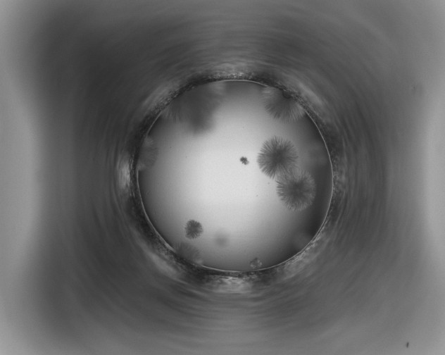 X0000116630166200912181332