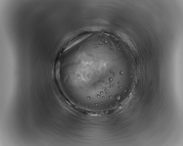 X0000116630167200912181332