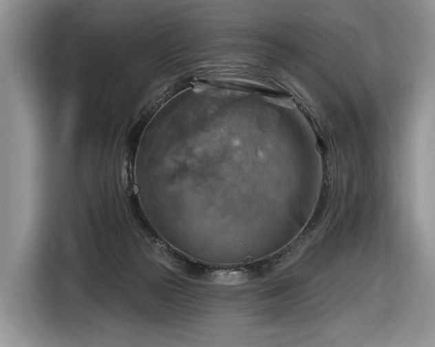 X0000116630169200912181332