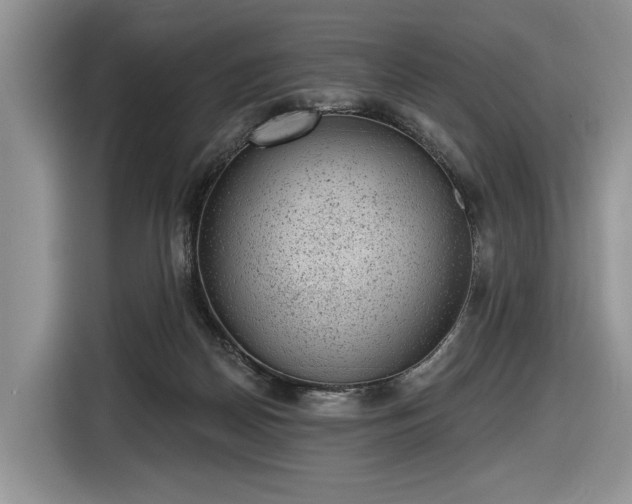 X0000116630170200912181332