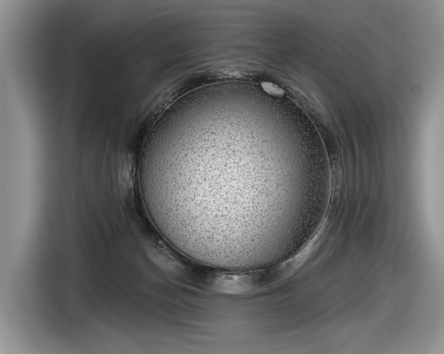 X0000116630174200912181332