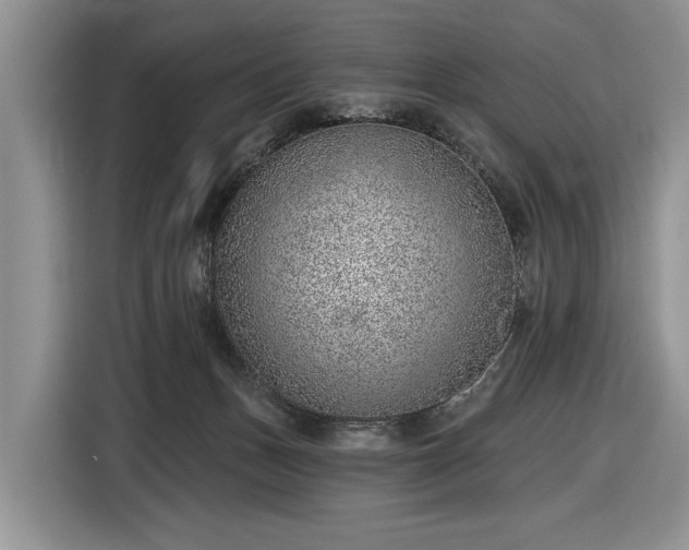 X0000116630175200912181332