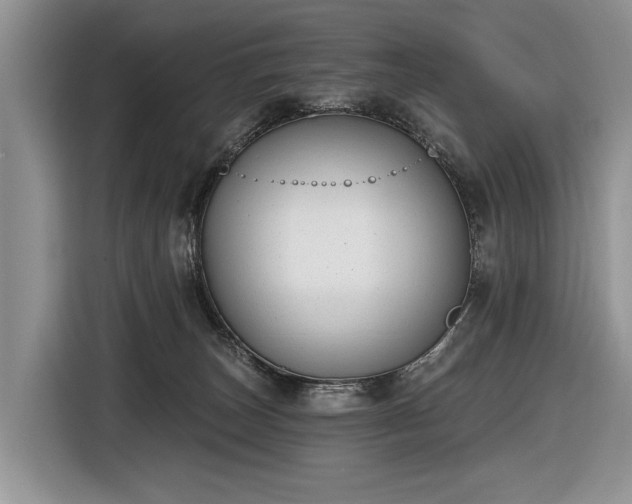 X0000116630179200912181332