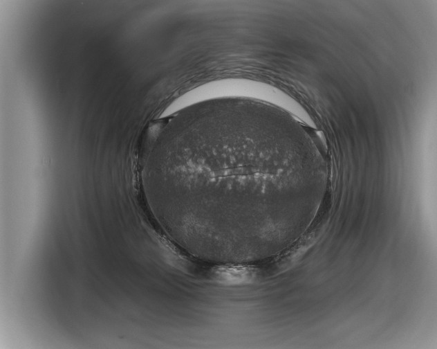 X0000116630181200912181332