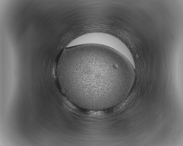 X0000116630185200912181332