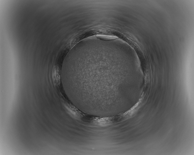 X0000116630186200912181332