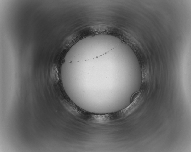 X0000116630187200912181332