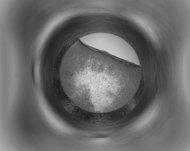 X0000116630189200912181332