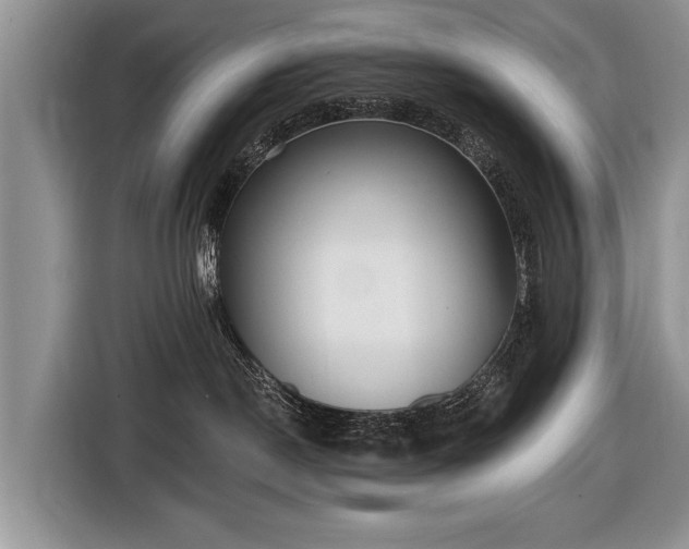 X0000116630190200912181332