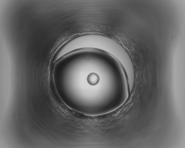 X0000116630194200912181332