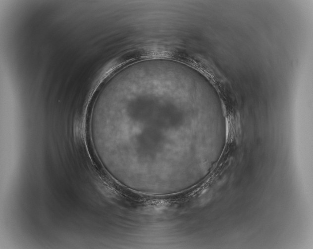 X0000116630195200912181332