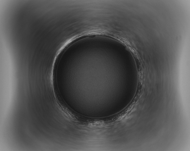 X0000116630196200912181332