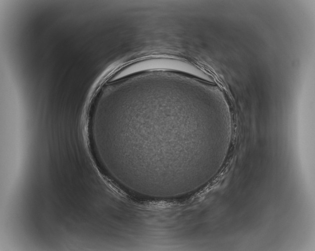 X0000116630197200912181332