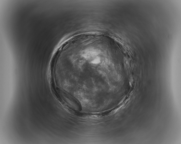 X0000116630198200912181332