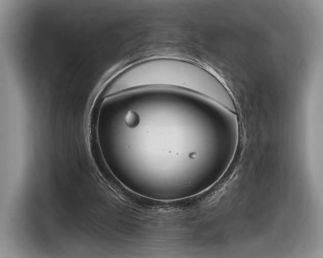 X0000116630199200912181332