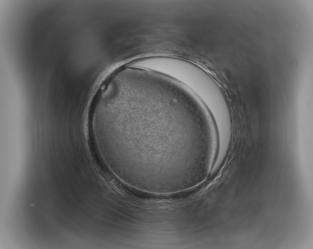 X0000116630200200912181332