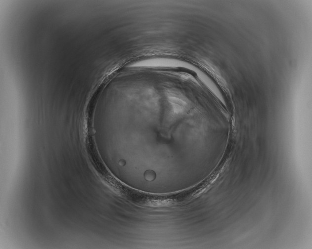 X0000116630202200912181331