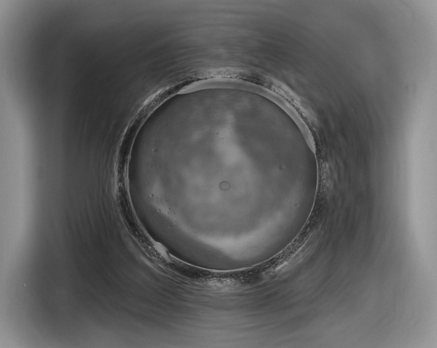 X0000116630203200912181331