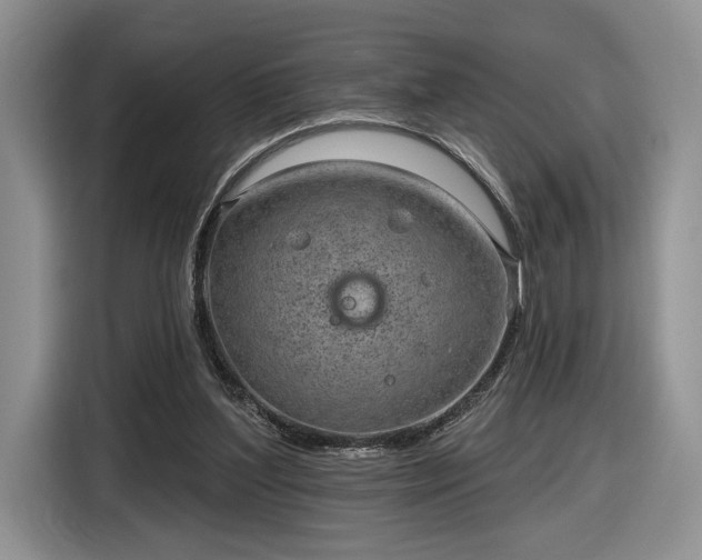 X0000116630204200912181331