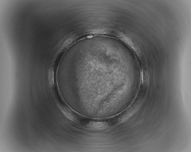 X0000116630205200912181331