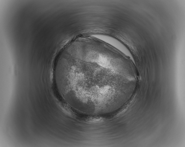 X0000116630206200912181331