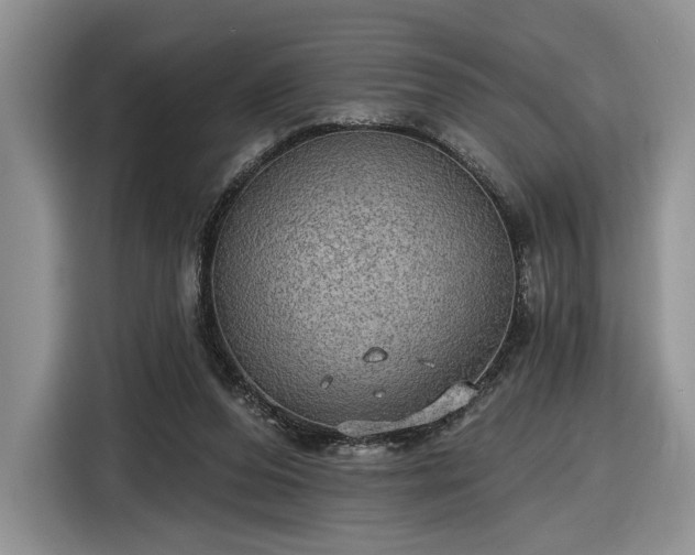 X0000116630208200912181331