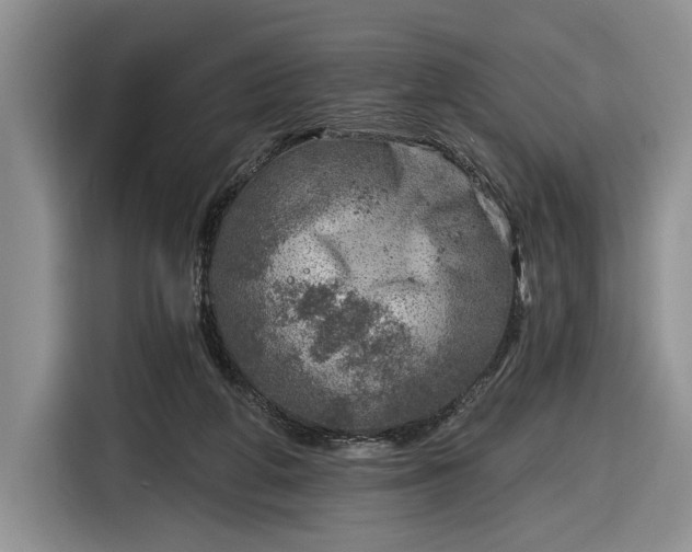 X0000116630210200912181331