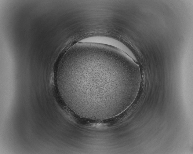 X0000116630212200912181331