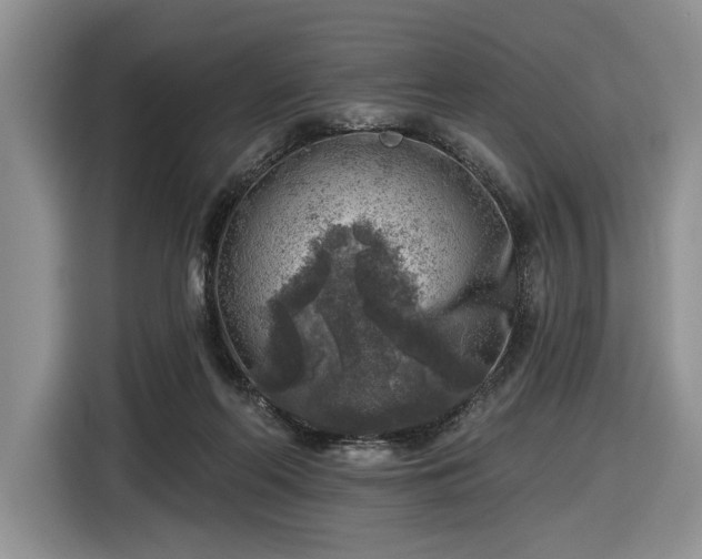 X0000116630214200912181331