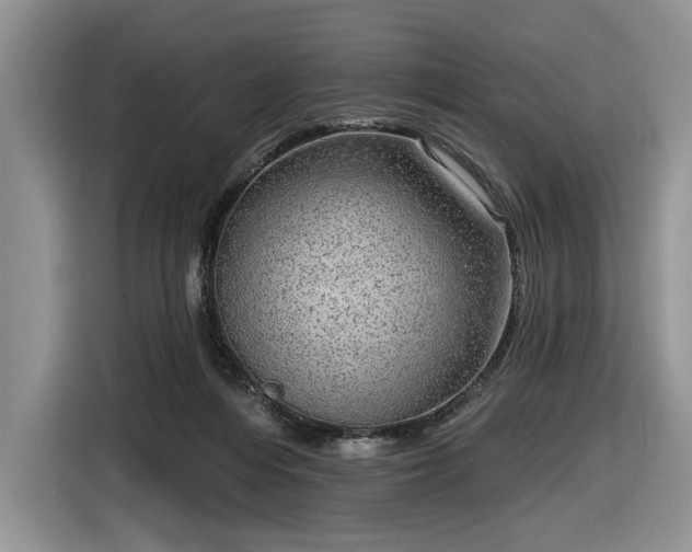 X0000116630216200912181331